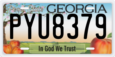 GA license plate PYU8379