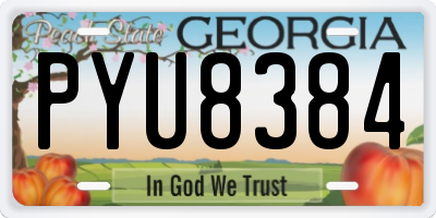 GA license plate PYU8384