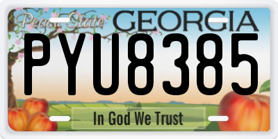 GA license plate PYU8385