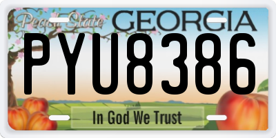 GA license plate PYU8386