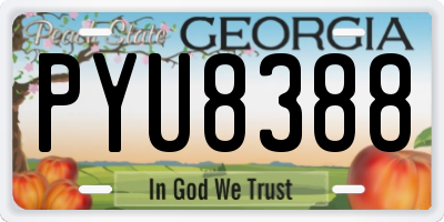 GA license plate PYU8388