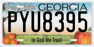 GA license plate PYU8395