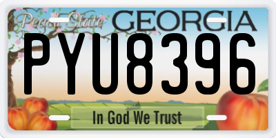 GA license plate PYU8396