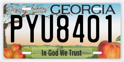 GA license plate PYU8401