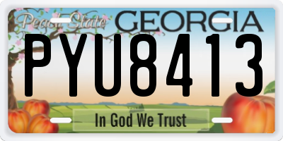 GA license plate PYU8413