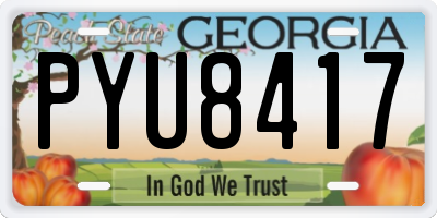 GA license plate PYU8417