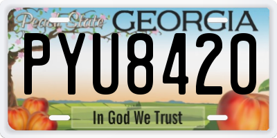 GA license plate PYU8420
