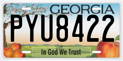GA license plate PYU8422
