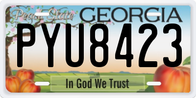GA license plate PYU8423