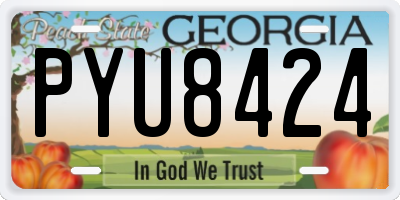 GA license plate PYU8424