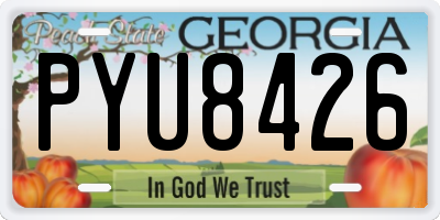 GA license plate PYU8426