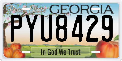 GA license plate PYU8429