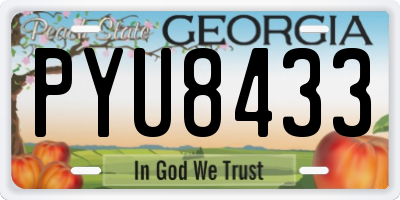GA license plate PYU8433