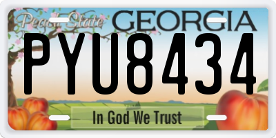 GA license plate PYU8434