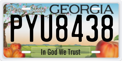 GA license plate PYU8438