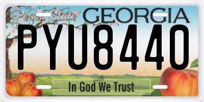 GA license plate PYU8440