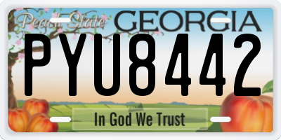 GA license plate PYU8442