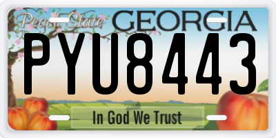 GA license plate PYU8443
