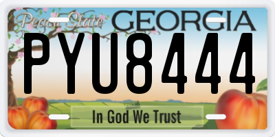 GA license plate PYU8444