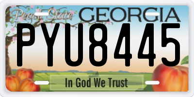 GA license plate PYU8445