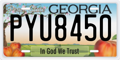 GA license plate PYU8450