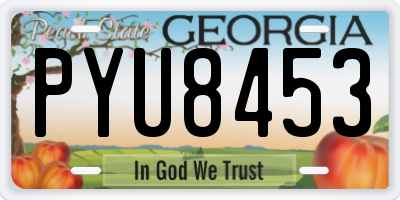 GA license plate PYU8453