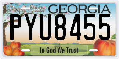 GA license plate PYU8455
