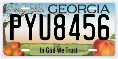 GA license plate PYU8456