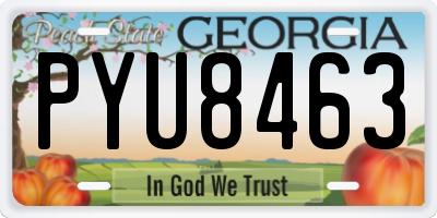 GA license plate PYU8463