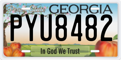 GA license plate PYU8482