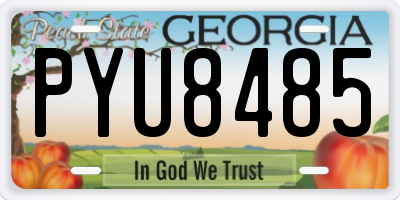 GA license plate PYU8485