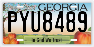 GA license plate PYU8489