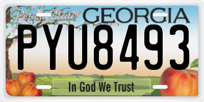 GA license plate PYU8493