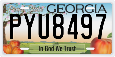 GA license plate PYU8497
