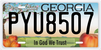 GA license plate PYU8507