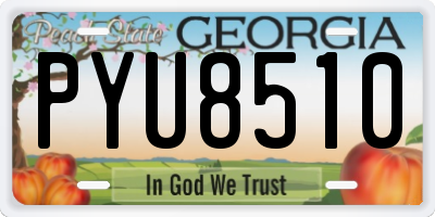 GA license plate PYU8510