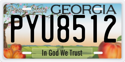 GA license plate PYU8512