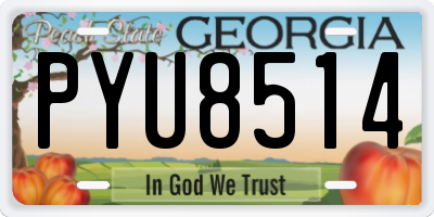 GA license plate PYU8514
