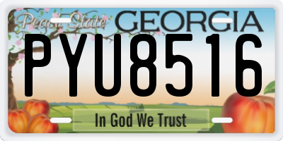 GA license plate PYU8516