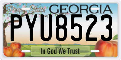 GA license plate PYU8523