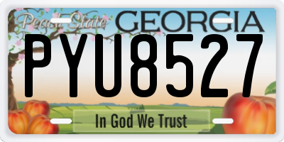GA license plate PYU8527