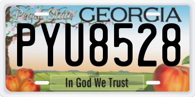 GA license plate PYU8528