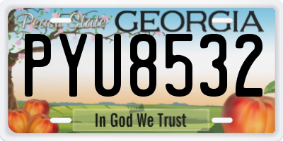 GA license plate PYU8532