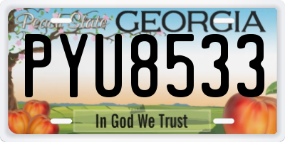 GA license plate PYU8533