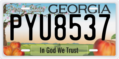GA license plate PYU8537
