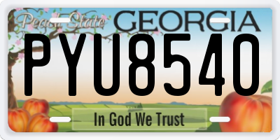 GA license plate PYU8540