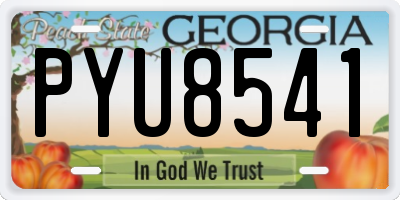 GA license plate PYU8541