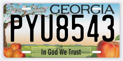 GA license plate PYU8543