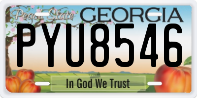 GA license plate PYU8546