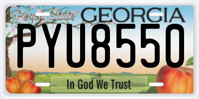 GA license plate PYU8550